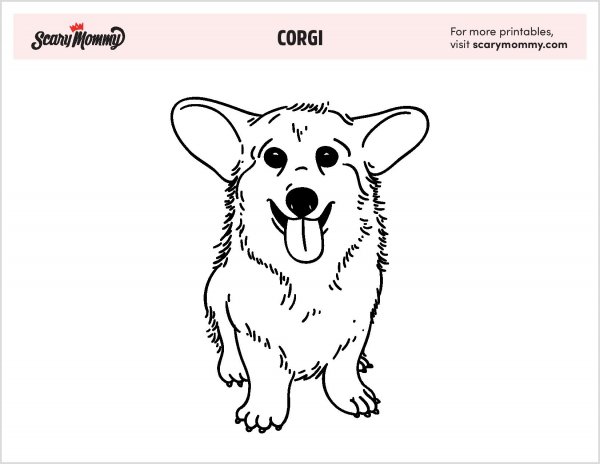 Щенок корги раскраска для детей