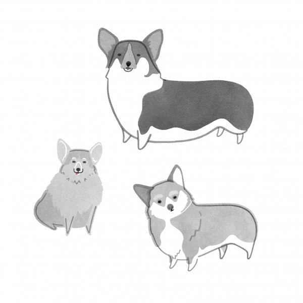 Маленькие рисунки корги