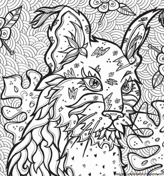 Раскраска антистресов