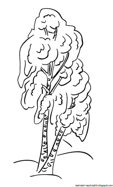 Ствол березы раскраска