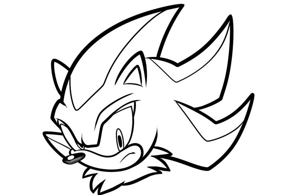 Раскраска Соник тень из Соника