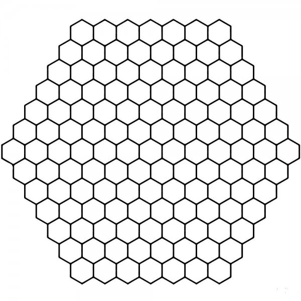 Поликарбонат пчелиная сота