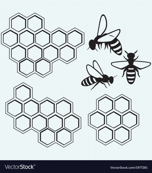 Трафарет соты пчелиные для торта