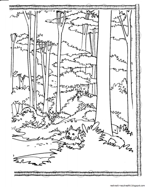 Раскраска лес природа