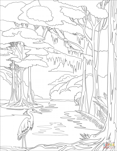 Водопад раскраска природа для детей