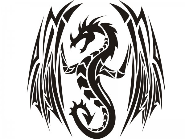 Татуировка дракон трайбл