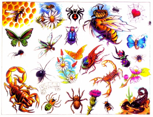 Насекомые рисунки для детей