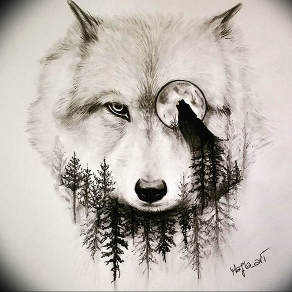 Морда волка