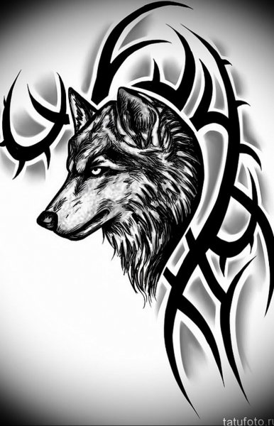 Тату волк
