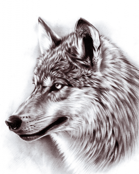 Волна тату эскиз