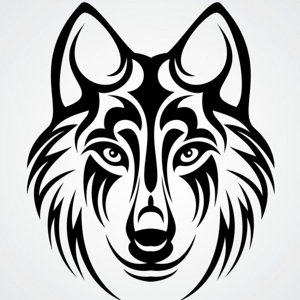 Волк для срисовки