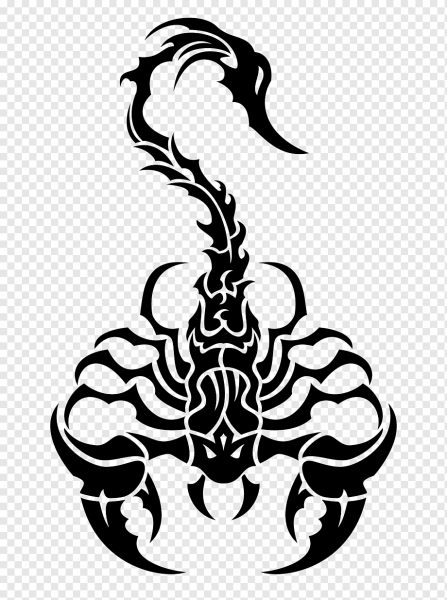 Кельтский узор Скорпион