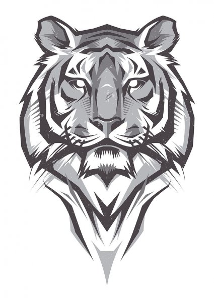 Тигр тату эскиз
