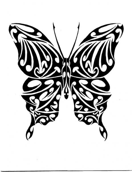 Бабочка тату черно белая