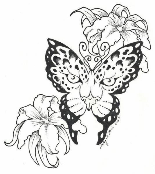 Тату бабочка