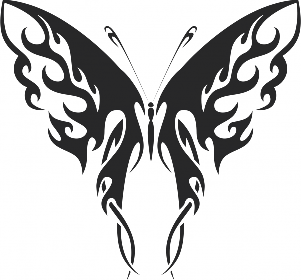 Тату бабочка с узором