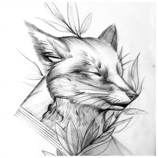 Лисица тату эскиз
