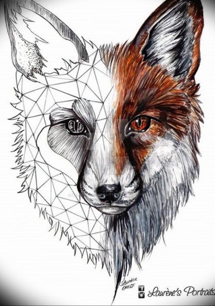 Графика животные