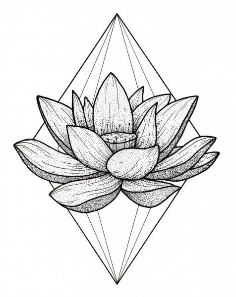 Лотос эскиз тату контур