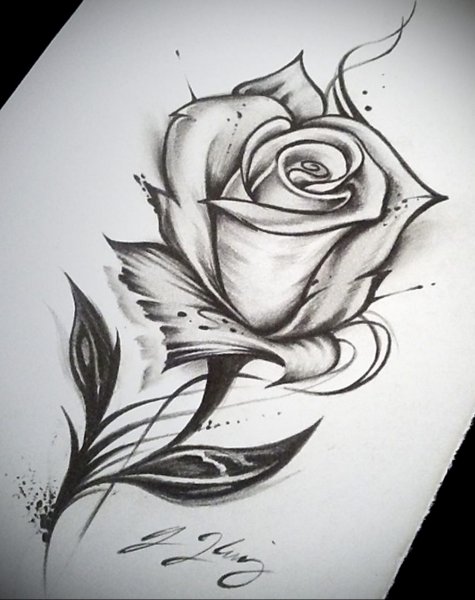 Роза тату эскиз черно белый