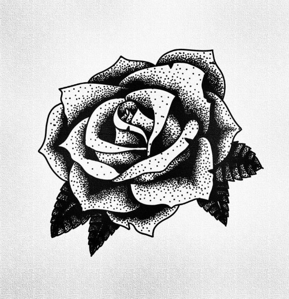 Розочка тату эскиз