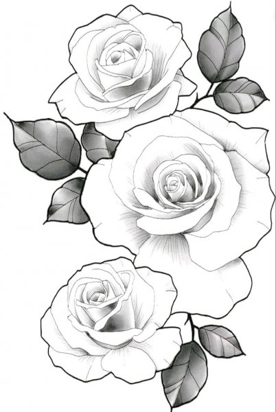 Роза арт эскиз