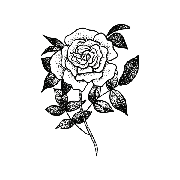 Тату роза эскиз