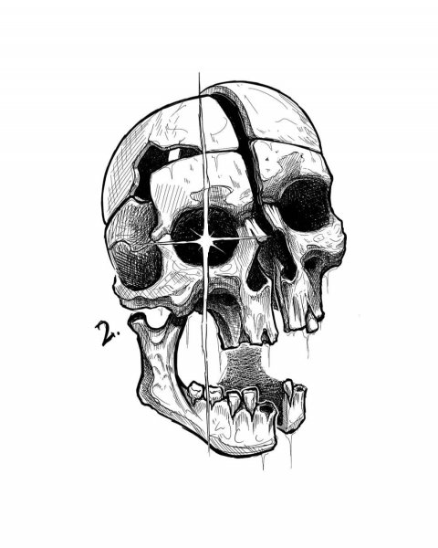 Череп для срисовки