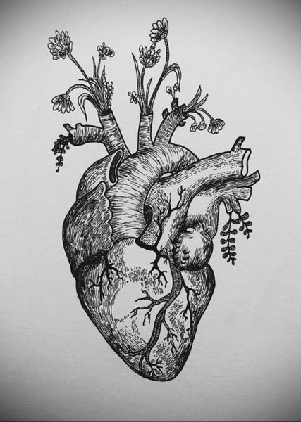Татуировка сердце эскиз