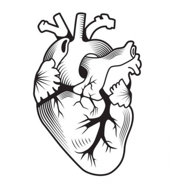 Сердце эскиз