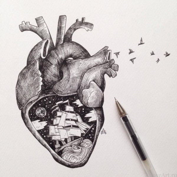 Тату сердце эскиз