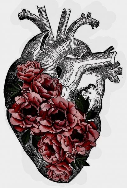 Человеческое сердце в цветах