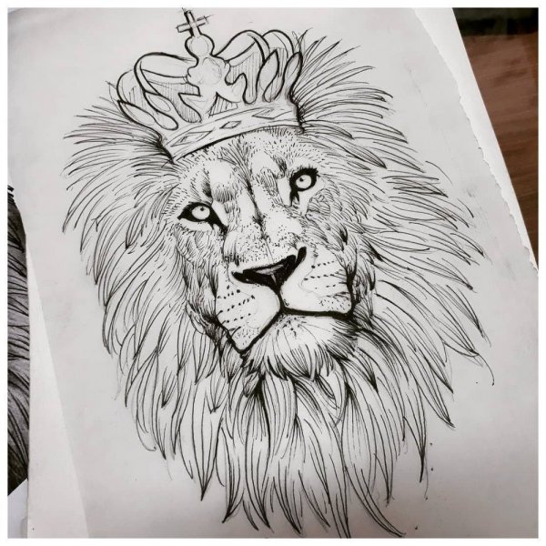 Лев эскиз