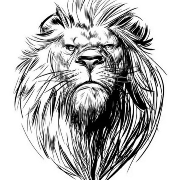 Тату Лев