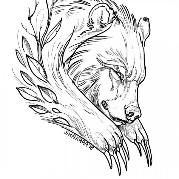 Эскизы тату на живот