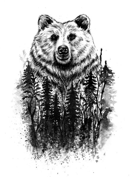 Медведь Татуировка эскиз