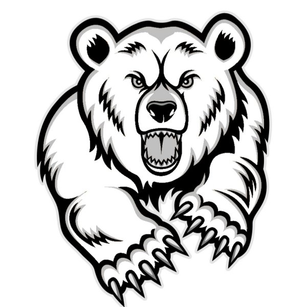 Медведь эскиз