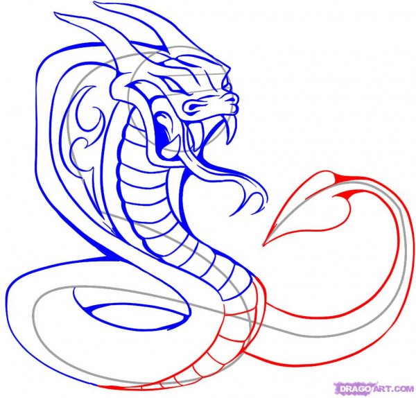 Змеи для срисовки