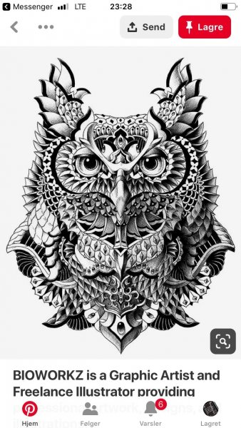 Графическая Сова