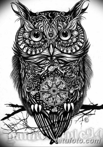 Сова в графике эскизы