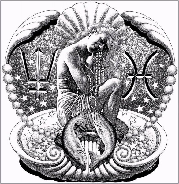 Водолей эскиз