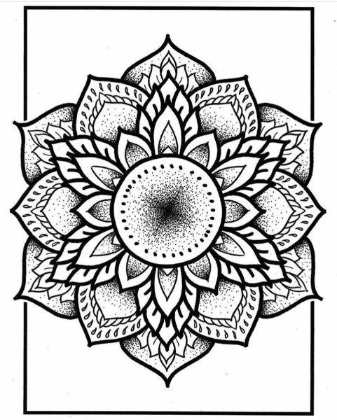 Лотос Орнаментал