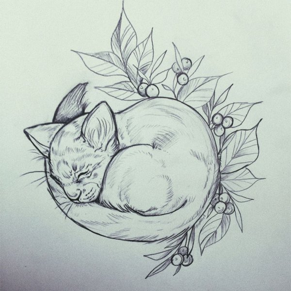 Кот тату эскиз