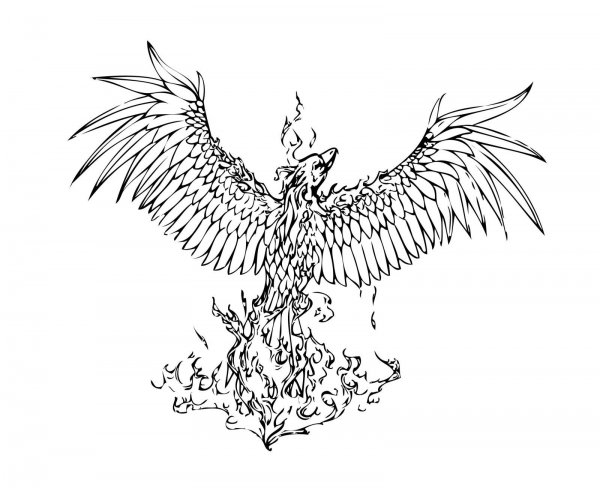 Феникс рисунок