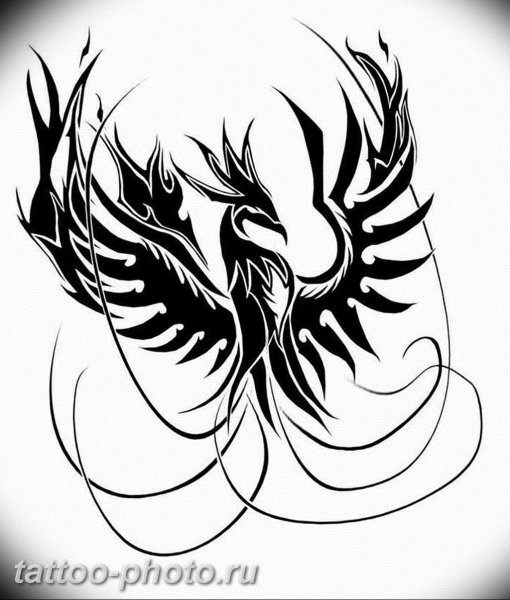 Фенек эскиз