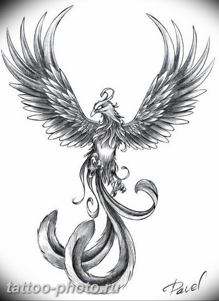 Нарисовать птицу Феникс