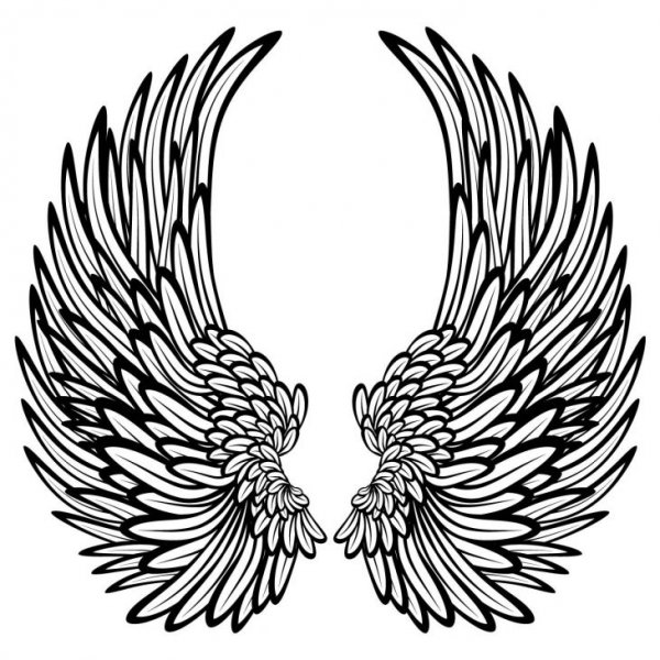 Крылья ангела