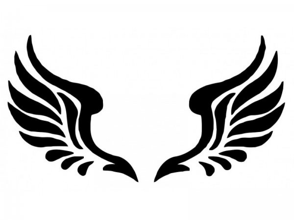 Крылья вектор