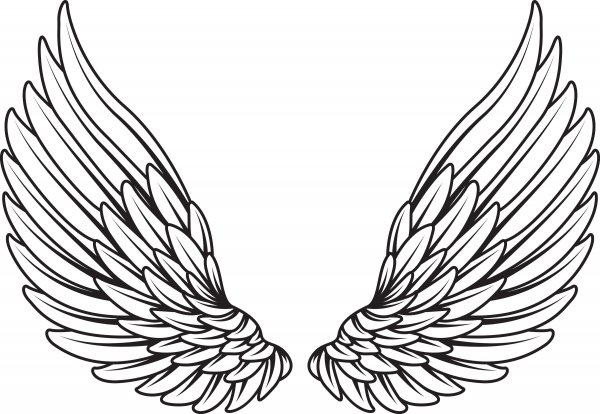 Крылья вектор