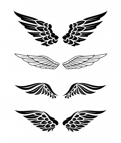 Крылья эскиз